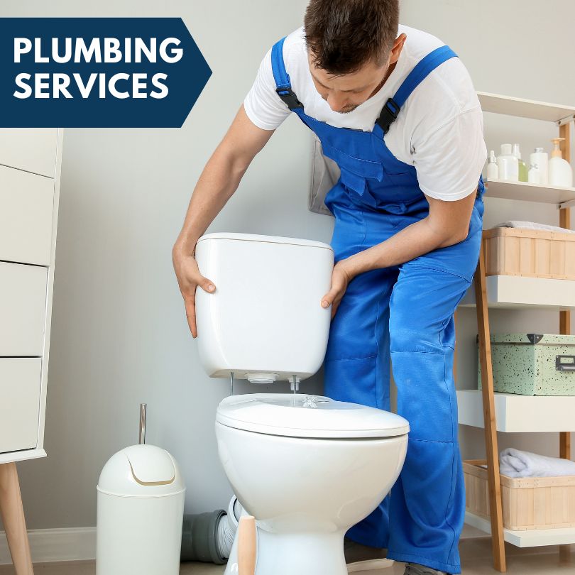 Plumbing Company in Langworthy, IA