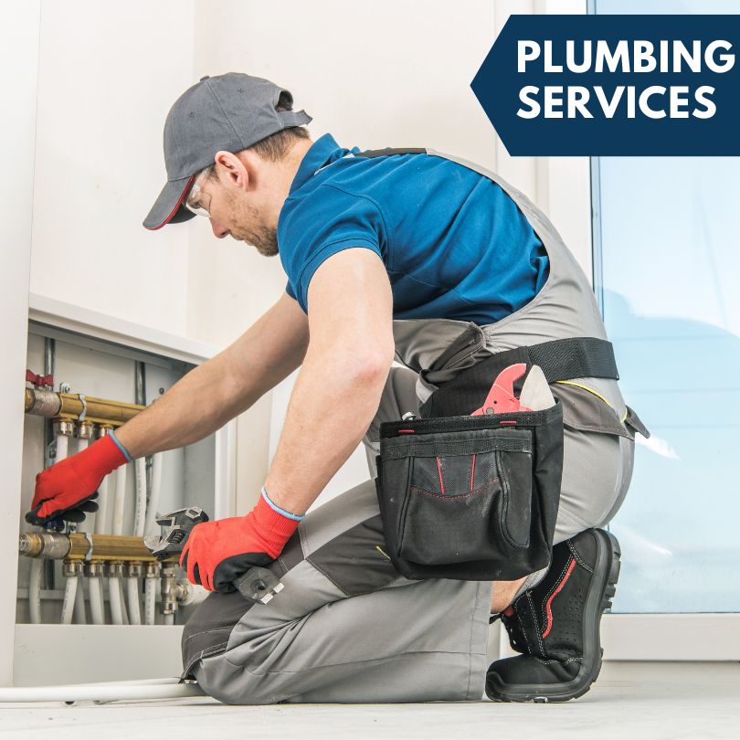Langworthy Plumbing Company